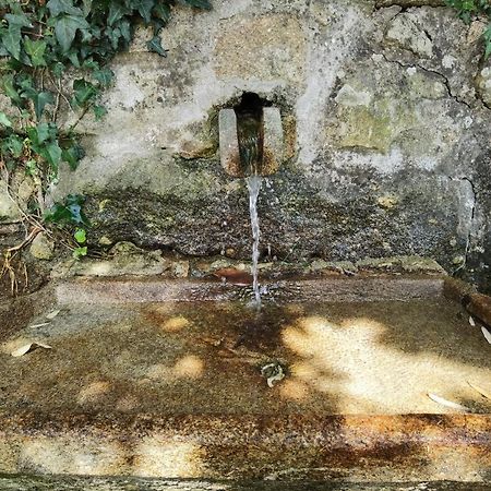 Fernandes House Apartman Paredes de Coura Kültér fotó